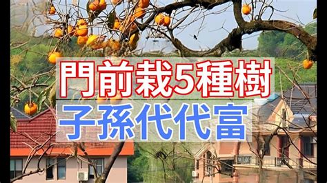 門前種什麼樹|【門前不能種什麼樹】門前種樹小心踩雷！六種旺宅樹。